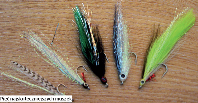 Morskie Muchy
