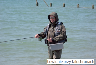 Mucha Morski Łowca