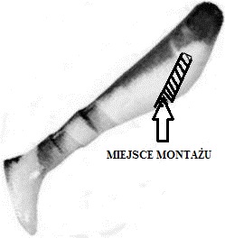 Twister- Ripper - Montaż kapsuły wabiącej