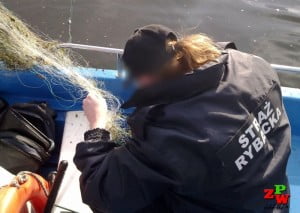 Kontakt Okręg PZW Szczecin -