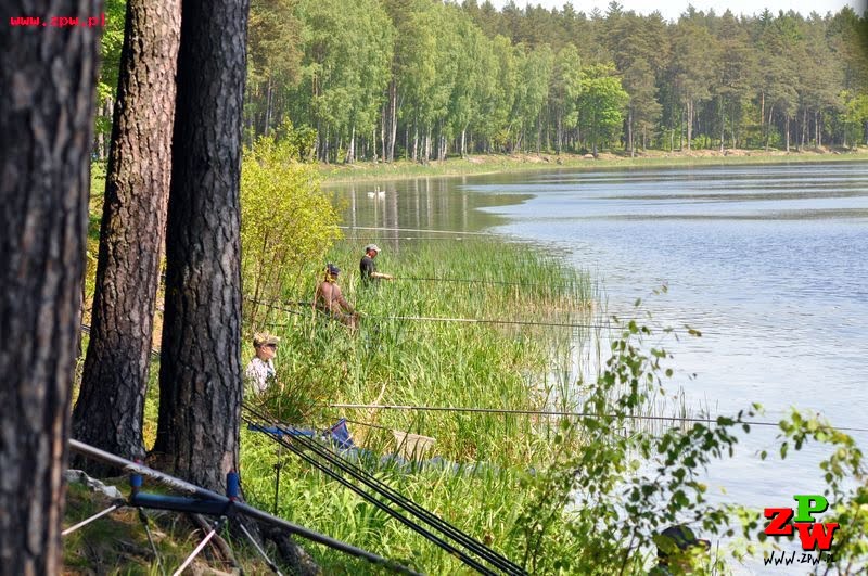 Turniej Miast Memoriał Profesora Zbigniewa Religi