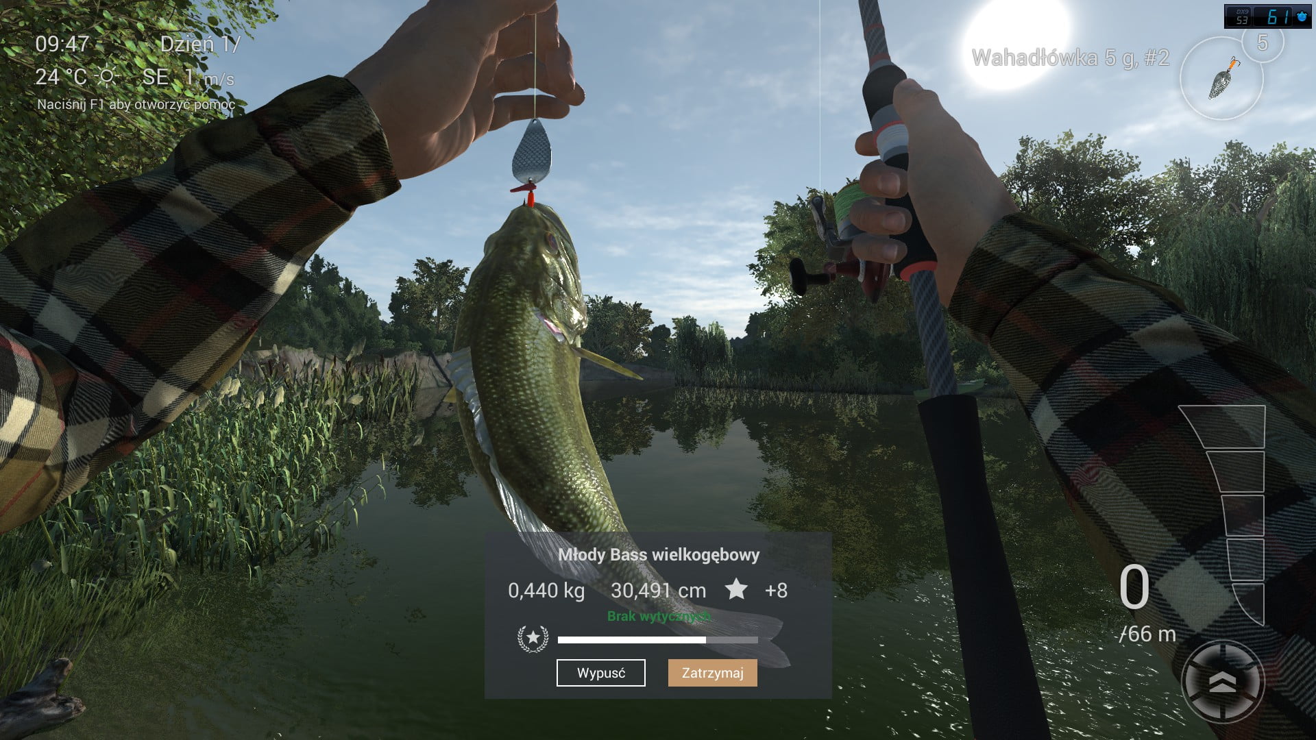 Poradnik Fishing Planet Bass wielki