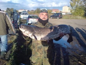 Z cyklu 21 pytań do: - Paweł Brzozowski