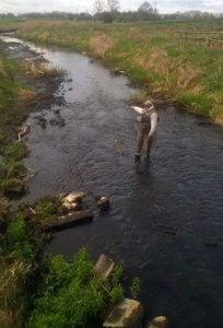 Mała ina wysycha - wędkarze alarmują