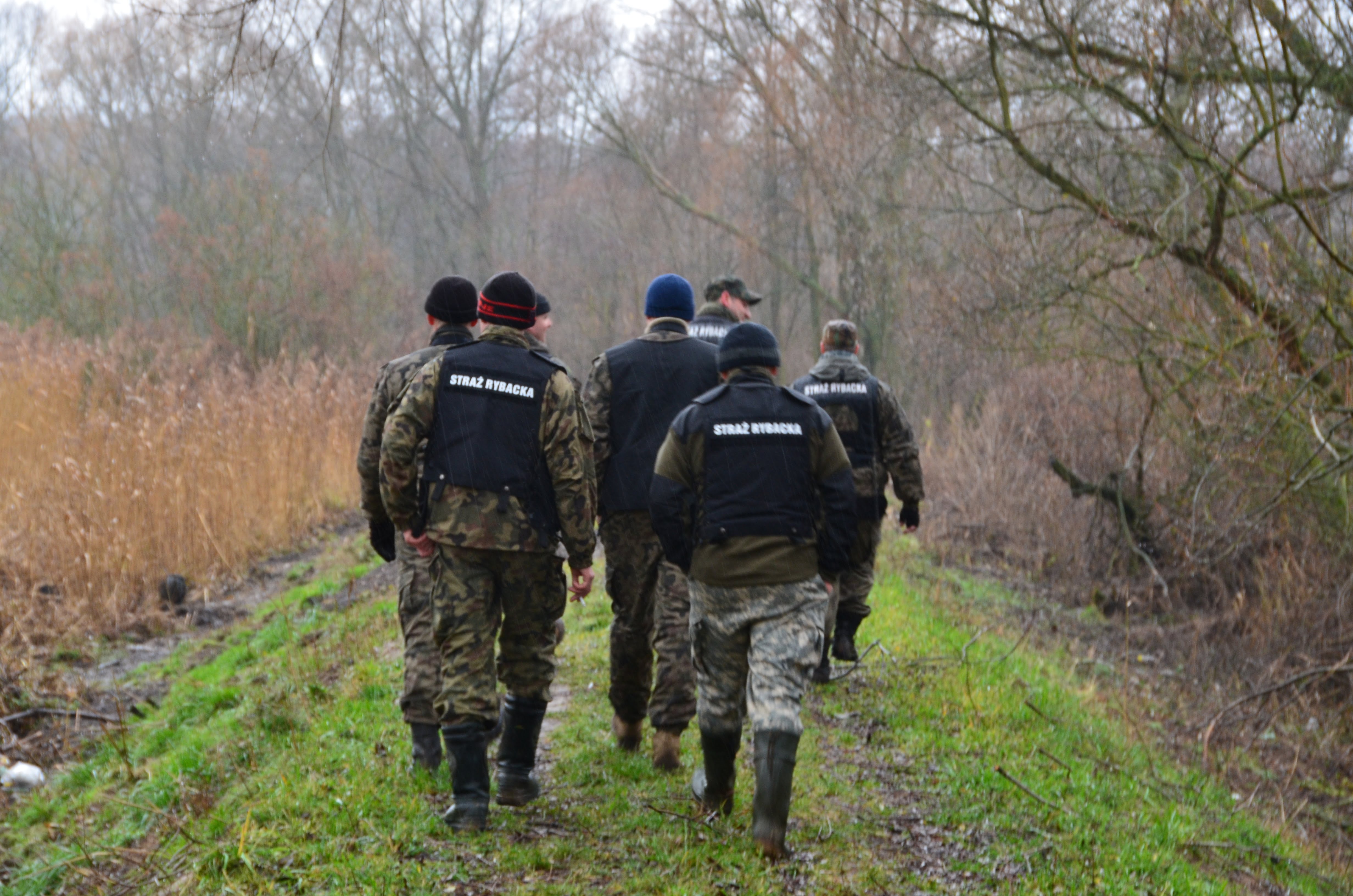 Wzmocnienie ochrony dzikiego tarła łososia i troci wędrownej w północno zachodniej Polsce