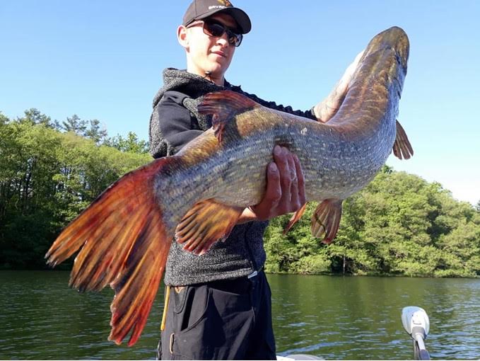 Okaz z Naszych Wód - zębacz 13 kilogramów