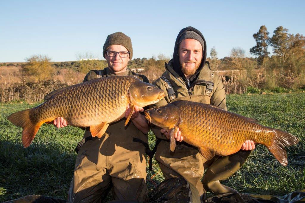 Taaaki karp
