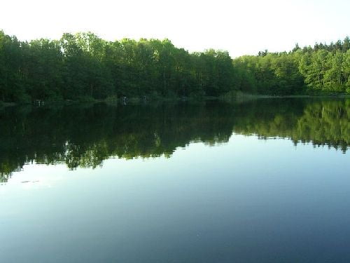 Zezwolenie Przedsiębiorstwo Rybackie Złocieniec