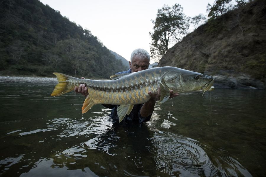 Dzień z Jeremym Wade'em