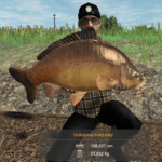 Unikatowy karp nagi
