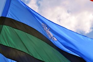 Prośba o pomoc w wyznaczeniu kierunku przyszłej działalności ZPW