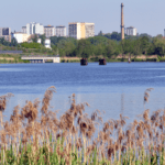 Rzeka Odra – wędkarskie dygresje